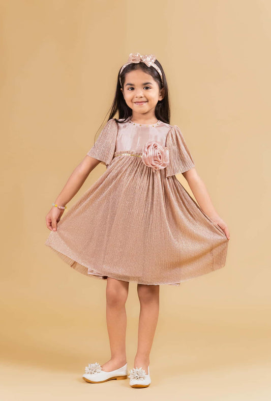 ROSY SHINE PARTY DRESS