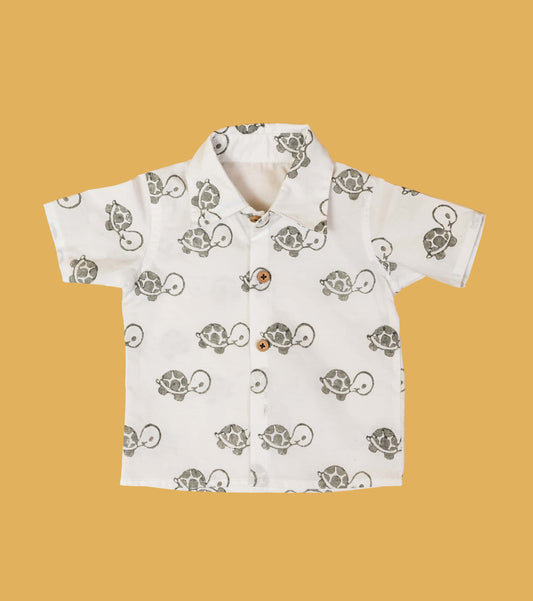 Baby Boy grey Tortoise Shirt